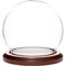 Plymor 3.5 inch x 4 inch Glass Display Dome Globe Cloche (Dark Wood Base)
